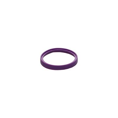 COLOR RING PURPLE